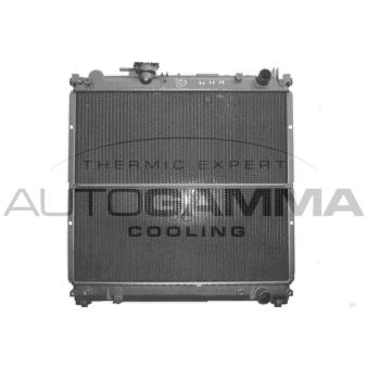 Radiateur, refroidissement du moteur AUTOGAMMA 101264