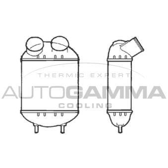 Intercooler, échangeur AUTOGAMMA [101476]