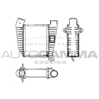 Intercooler, échangeur AUTOGAMMA 101937