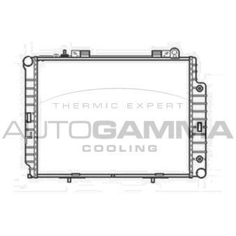Radiateur, refroidissement du moteur AUTOGAMMA OEM 2105000603