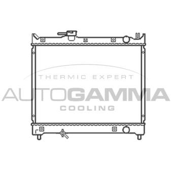 Radiateur, refroidissement du moteur AUTOGAMMA OEM 1770060A02