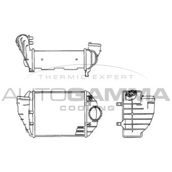 Intercooler, échangeur AUTOGAMMA 102535