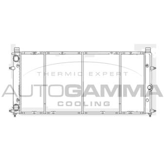 Radiateur, refroidissement du moteur AUTOGAMMA OEM 701121253