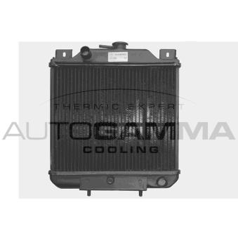 Radiateur, refroidissement du moteur AUTOGAMMA OEM 9427703