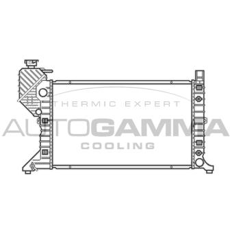 Radiateur, refroidissement du moteur AUTOGAMMA OEM 9015003800