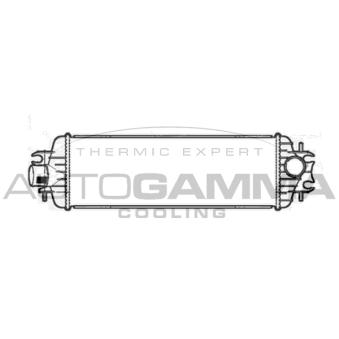 Intercooler, échangeur AUTOGAMMA OEM 4411898