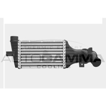 Intercooler, échangeur AUTOGAMMA OEM 24436438 Intercooler, échangeur AUTOGAMMA OEM 24436438