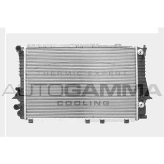 Radiateur, refroidissement du moteur AUTOGAMMA 103976