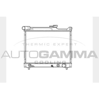 Radiateur, refroidissement du moteur AUTOGAMMA OEM 1770078E20