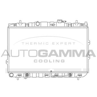 Radiateur, refroidissement du moteur AUTOGAMMA OEM 253102F030