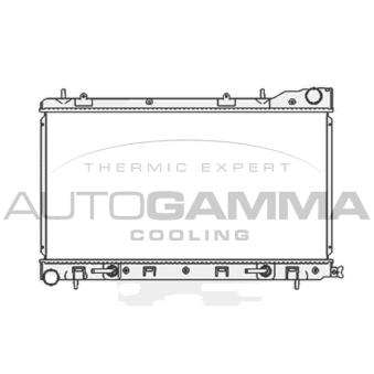 Radiateur, refroidissement du moteur AUTOGAMMA OEM 45111fc300