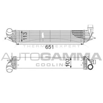 Intercooler, échangeur AUTOGAMMA OEM 144960001R
