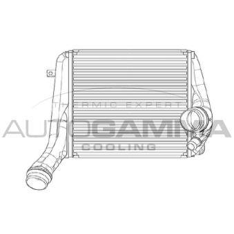 Intercooler, échangeur AUTOGAMMA [105377]