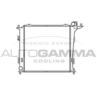Radiateur, refroidissement du moteur AUTOGAMMA OEM 253102L800