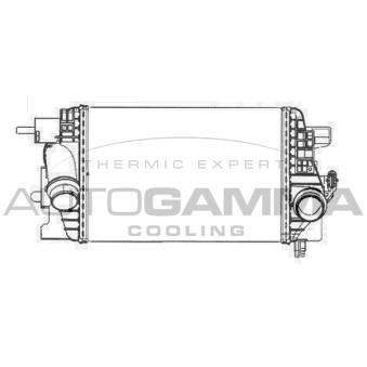 Intercooler, échangeur AUTOGAMMA OEM 13283252