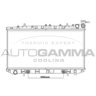 Radiateur, refroidissement du moteur AUTOGAMMA OEM 2146054Y00