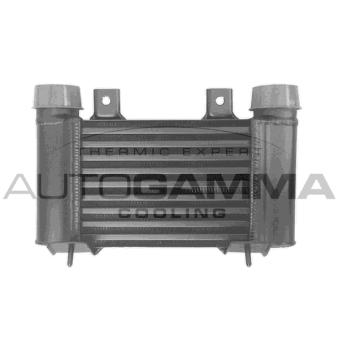 Intercooler, échangeur AUTOGAMMA [105823]
