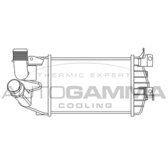 Intercooler, échangeur AUTOGAMMA OEM 6302072