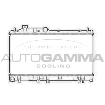 Radiateur, refroidissement du moteur AUTOGAMMA OEM 45119FG050