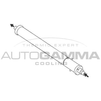 Filtre déshydratant, climatisation AUTOGAMMA [106035]