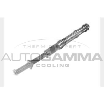 Filtre déshydratant, climatisation AUTOGAMMA 106386