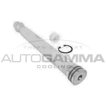 Filtre déshydratant, climatisation AUTOGAMMA 106471