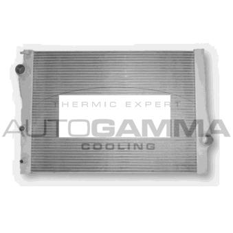 Radiateur, refroidissement du moteur AUTOGAMMA 107129