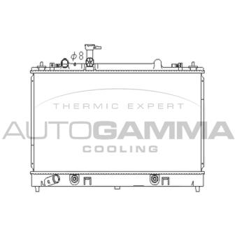 Radiateur, refroidissement du moteur AUTOGAMMA 107281