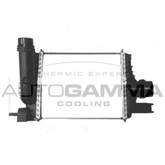 Intercooler, échangeur AUTOGAMMA OEM 144961381R Intercooler, échangeur AUTOGAMMA OEM 144961381R