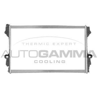 Radiateur, refroidissement du moteur AUTOGAMMA 107497