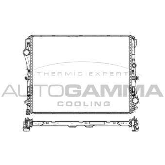 Radiateur, refroidissement du moteur AUTOGAMMA OEM 0995003303