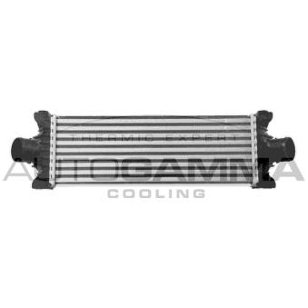 Intercooler, échangeur AUTOGAMMA 107777