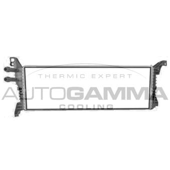 Radiateur, refroidissement du moteur AUTOGAMMA 107822
