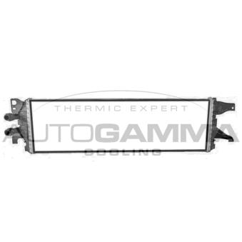 Radiateur, refroidissement du moteur AUTOGAMMA OEM 7E0121212
