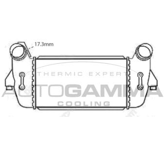 Intercooler, échangeur AUTOGAMMA [107919]