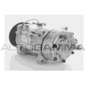 Compresseur, climatisation AUTOGAMMA OEM 648767