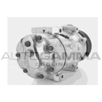 Compresseur, climatisation AUTOGAMMA 108009