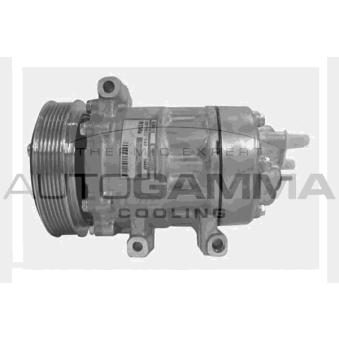Compresseur, climatisation AUTOGAMMA OEM 6453PE