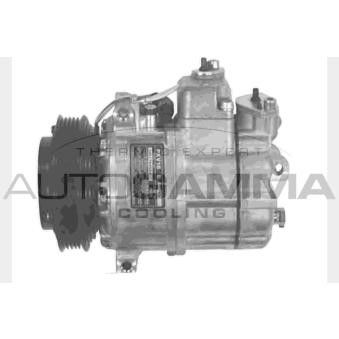 Compresseur, climatisation AUTOGAMMA 108033