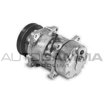 Compresseur, climatisation AUTOGAMMA OEM 7700272987