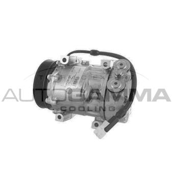 Compresseur, climatisation AUTOGAMMA OEM 6453CL
