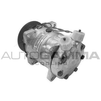 Compresseur, climatisation AUTOGAMMA 108476
