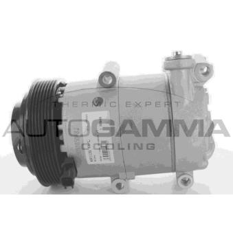 Compresseur, climatisation AUTOGAMMA OEM 1678411