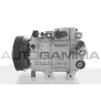 Compresseur, climatisation AUTOGAMMA OEM 977012B251