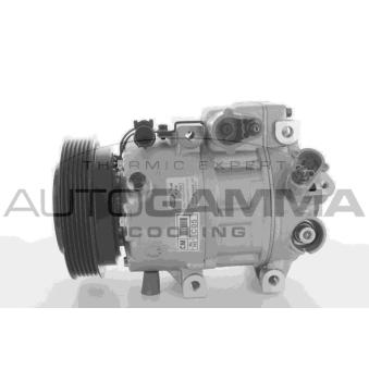 Compresseur, climatisation AUTOGAMMA OEM 977012B201
