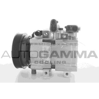 Compresseur, climatisation AUTOGAMMA OEM 977012E200