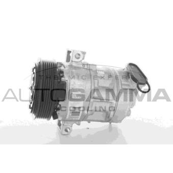Compresseur, climatisation AUTOGAMMA 108923