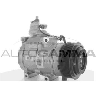 Compresseur, climatisation AUTOGAMMA OEM 38810RBDE11