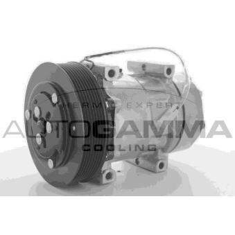 Compresseur, climatisation AUTOGAMMA OEM 5001867206