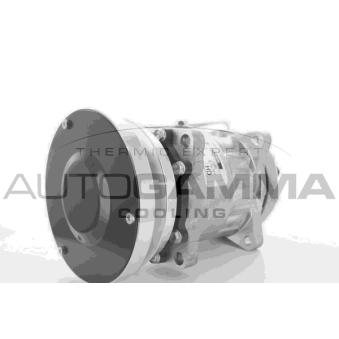 Compresseur, climatisation AUTOGAMMA OEM 3E1906
